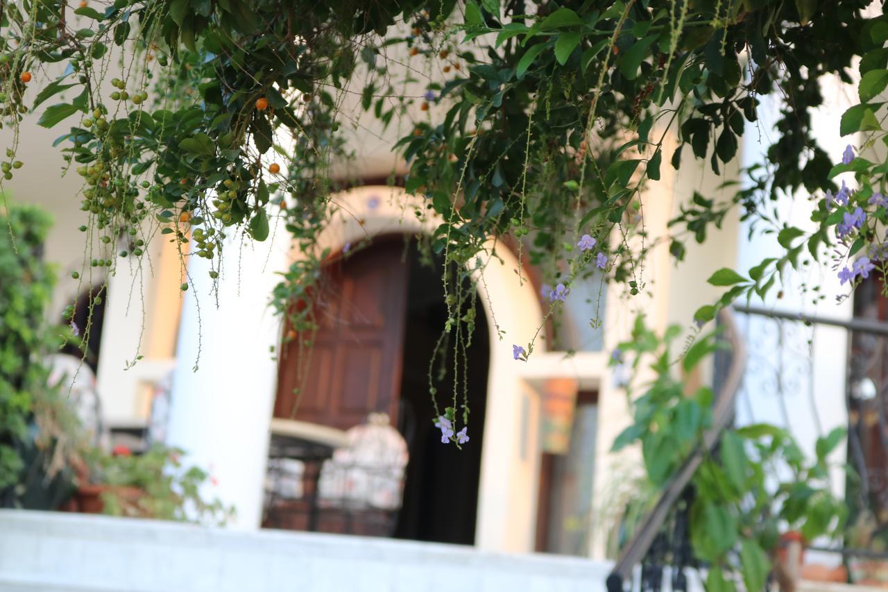 Meryem'S Hotel Agios Epiktitos Экстерьер фото